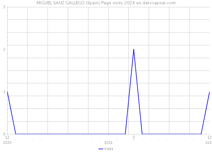 MIGUEL SANZ GALLEGO (Spain) Page visits 2024 