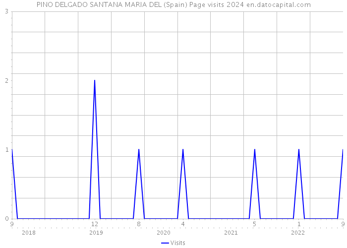 PINO DELGADO SANTANA MARIA DEL (Spain) Page visits 2024 