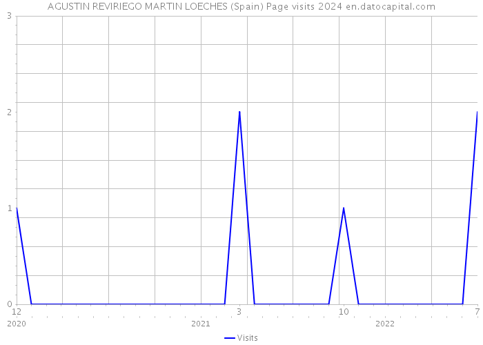 AGUSTIN REVIRIEGO MARTIN LOECHES (Spain) Page visits 2024 