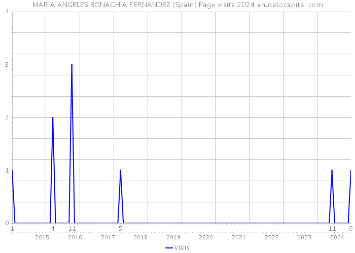 MARIA ANGELES BONACHIA FERNANDEZ (Spain) Page visits 2024 