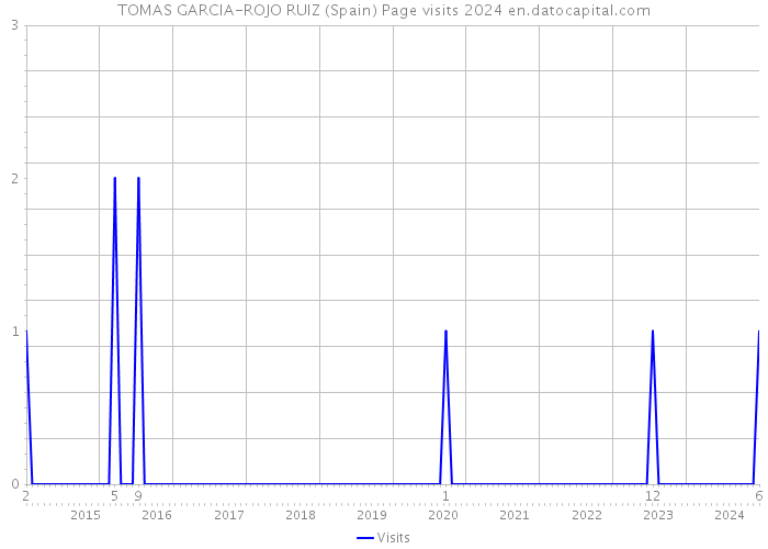 TOMAS GARCIA-ROJO RUIZ (Spain) Page visits 2024 