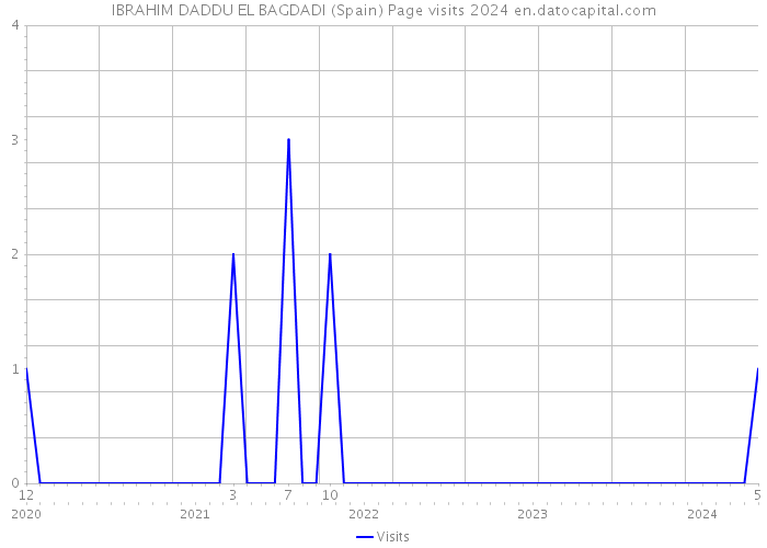 IBRAHIM DADDU EL BAGDADI (Spain) Page visits 2024 