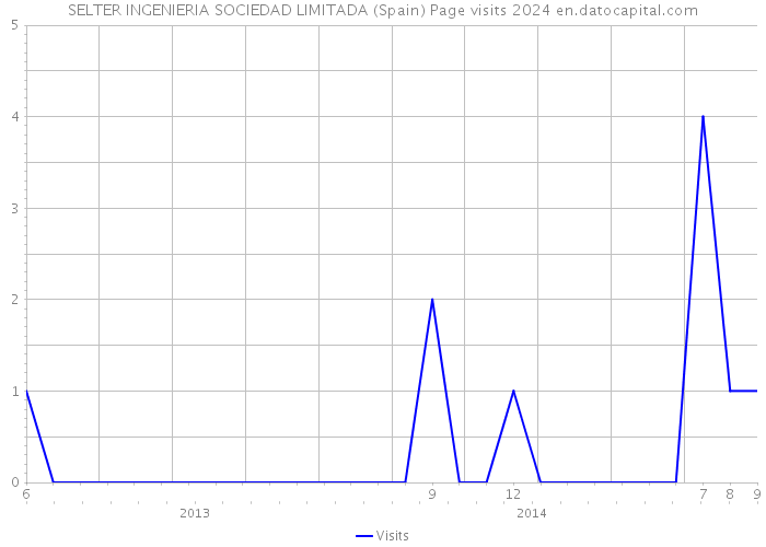 SELTER INGENIERIA SOCIEDAD LIMITADA (Spain) Page visits 2024 