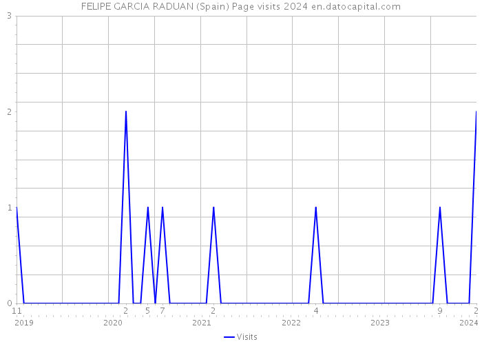 FELIPE GARCIA RADUAN (Spain) Page visits 2024 
