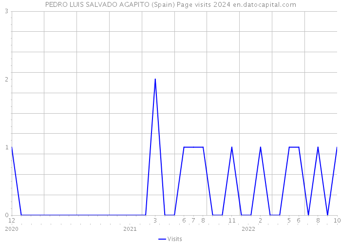 PEDRO LUIS SALVADO AGAPITO (Spain) Page visits 2024 