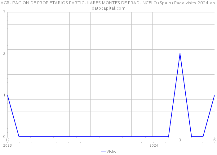 AGRUPACION DE PROPIETARIOS PARTICULARES MONTES DE PRADUNCELO (Spain) Page visits 2024 
