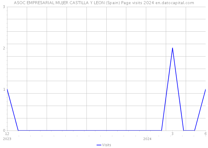 ASOC EMPRESARIAL MUJER CASTILLA Y LEON (Spain) Page visits 2024 