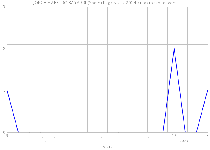 JORGE MAESTRO BAYARRI (Spain) Page visits 2024 