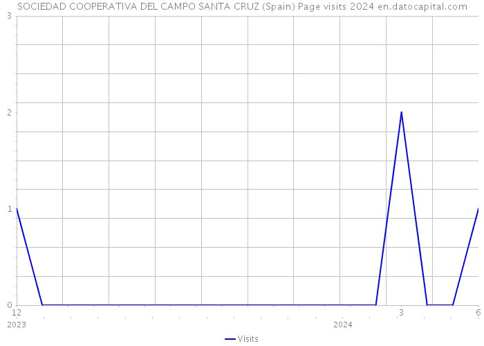 SOCIEDAD COOPERATIVA DEL CAMPO SANTA CRUZ (Spain) Page visits 2024 