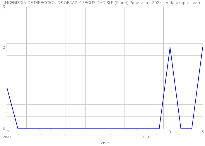 INGENIERIA DE DIRECCION DE OBRAS Y SEGURIDAD SLP (Spain) Page visits 2024 