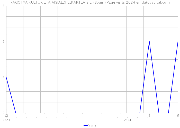 PAGOTXA KULTUR ETA AISIALDI ELKARTEA S.L. (Spain) Page visits 2024 