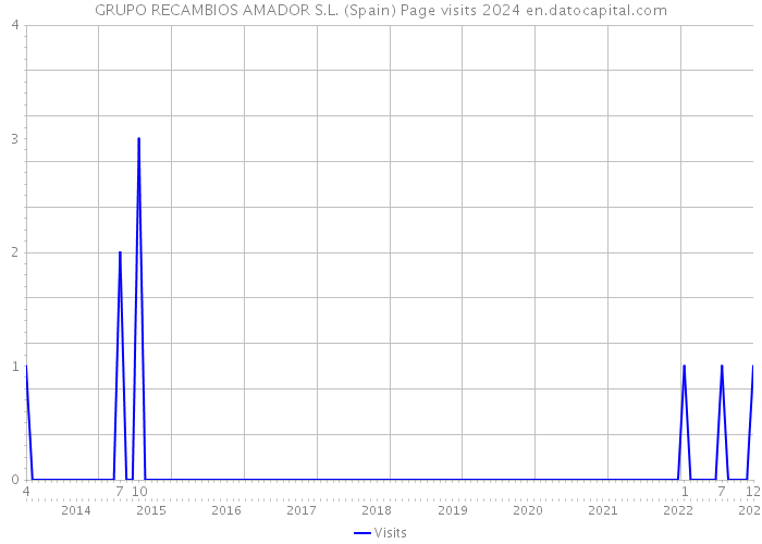 GRUPO RECAMBIOS AMADOR S.L. (Spain) Page visits 2024 