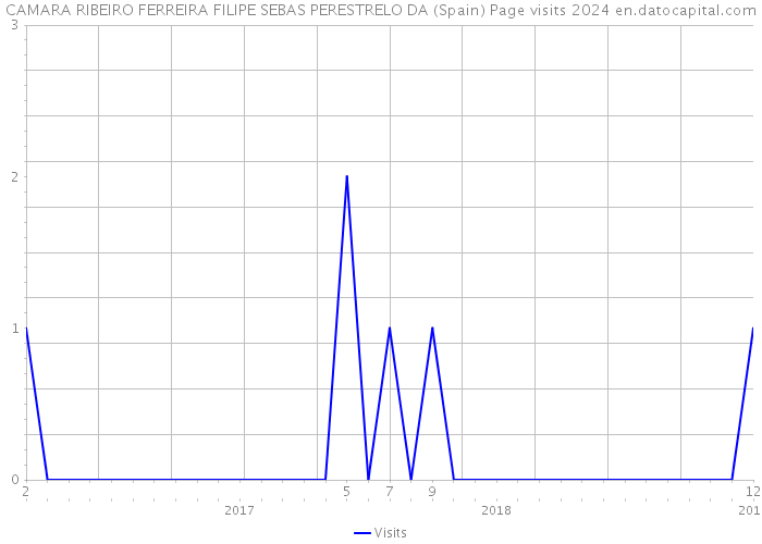 CAMARA RIBEIRO FERREIRA FILIPE SEBAS PERESTRELO DA (Spain) Page visits 2024 