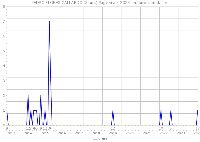 PEDRO FLORES GALLARDO (Spain) Page visits 2024 