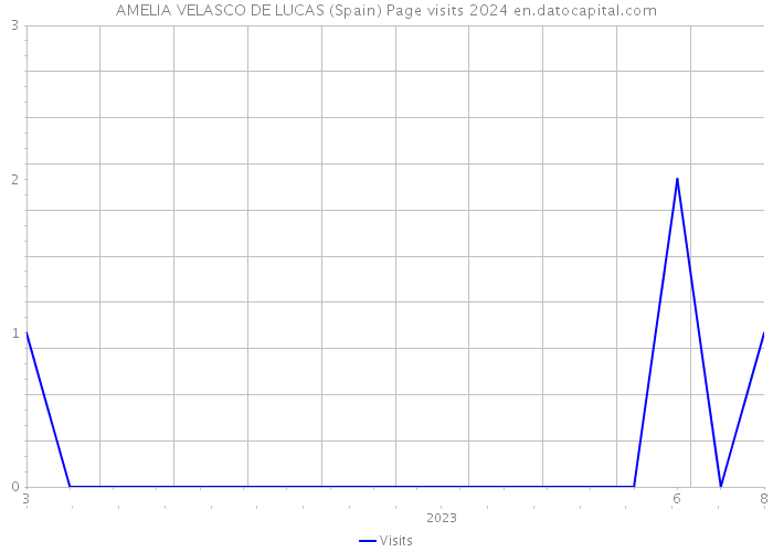 AMELIA VELASCO DE LUCAS (Spain) Page visits 2024 