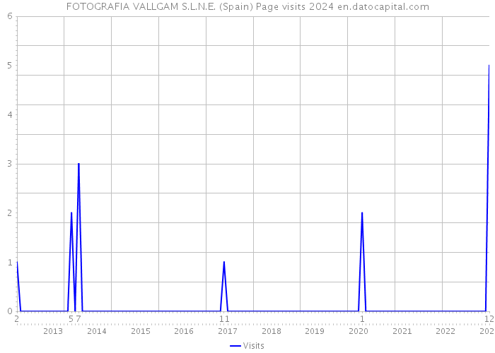 FOTOGRAFIA VALLGAM S.L.N.E. (Spain) Page visits 2024 
