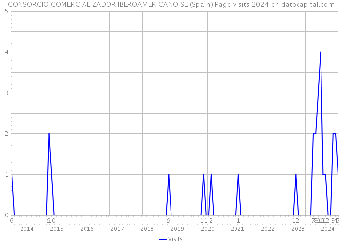 CONSORCIO COMERCIALIZADOR IBEROAMERICANO SL (Spain) Page visits 2024 