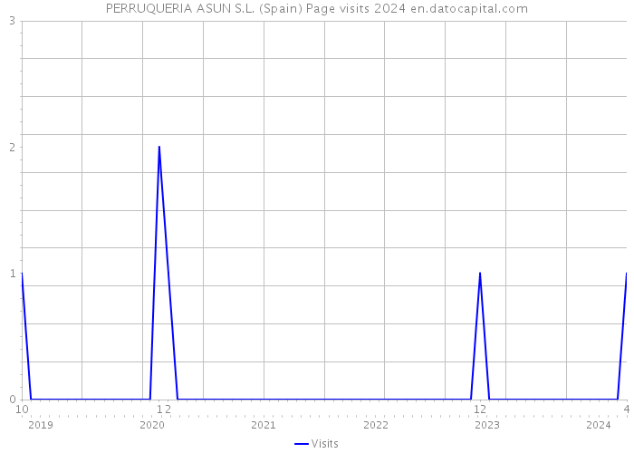 PERRUQUERIA ASUN S.L. (Spain) Page visits 2024 