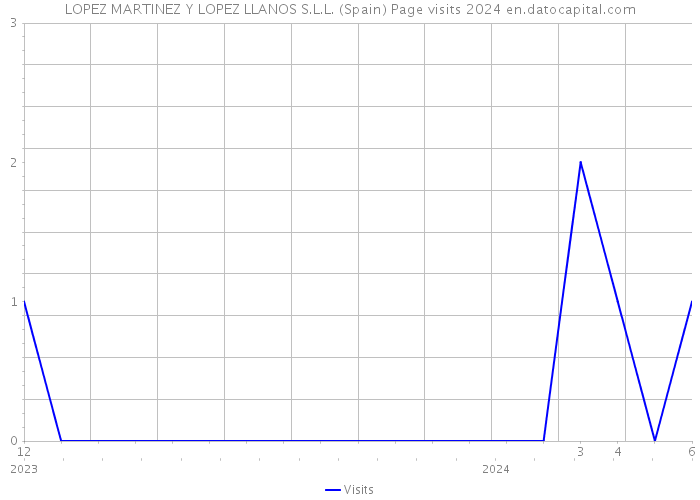 LOPEZ MARTINEZ Y LOPEZ LLANOS S.L.L. (Spain) Page visits 2024 