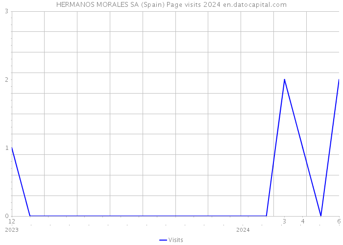 HERMANOS MORALES SA (Spain) Page visits 2024 