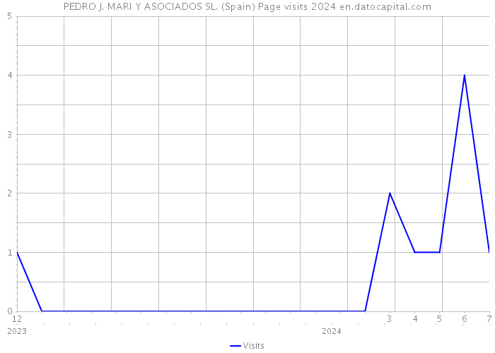 PEDRO J. MARI Y ASOCIADOS SL. (Spain) Page visits 2024 