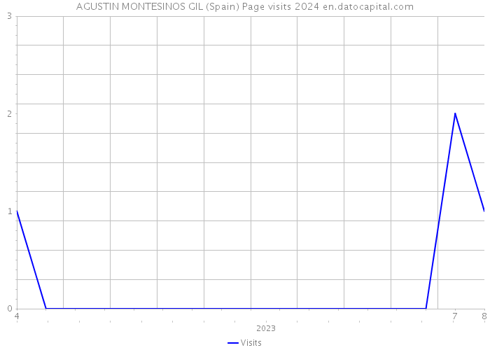 AGUSTIN MONTESINOS GIL (Spain) Page visits 2024 