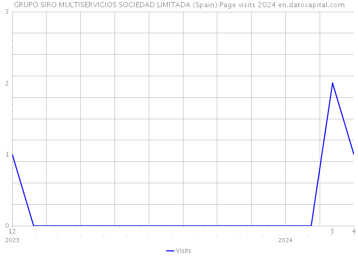 GRUPO SIRO MULTISERVICIOS SOCIEDAD LIMITADA (Spain) Page visits 2024 