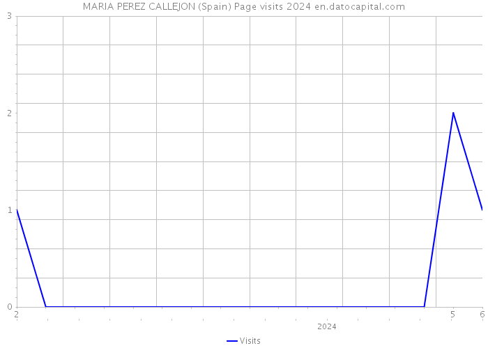 MARIA PEREZ CALLEJON (Spain) Page visits 2024 