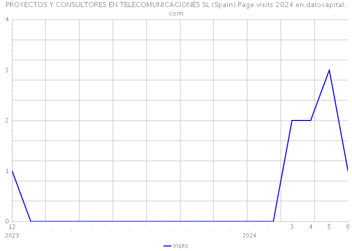 PROYECTOS Y CONSULTORES EN TELECOMUNICACIONES SL (Spain) Page visits 2024 