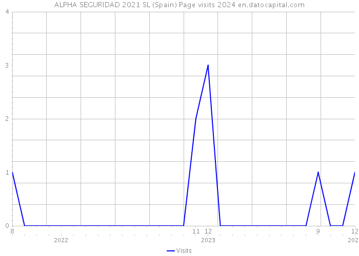 ALPHA SEGURIDAD 2021 SL (Spain) Page visits 2024 