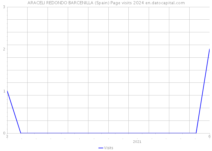 ARACELI REDONDO BARCENILLA (Spain) Page visits 2024 