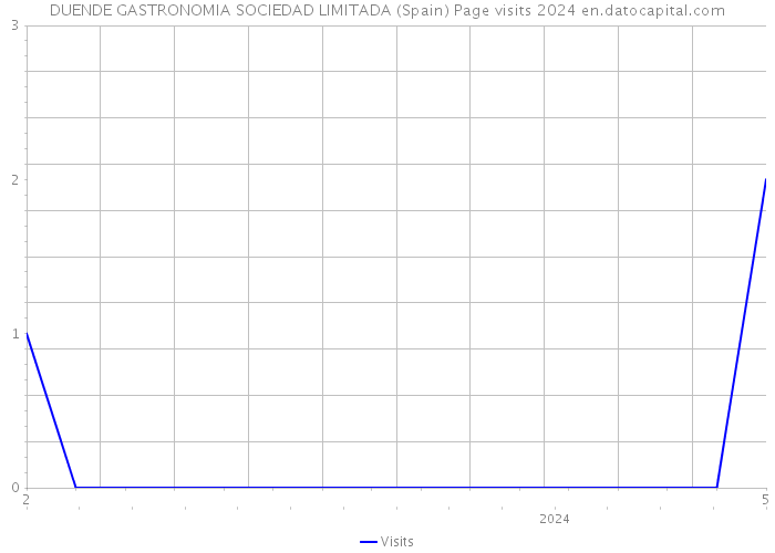 DUENDE GASTRONOMIA SOCIEDAD LIMITADA (Spain) Page visits 2024 