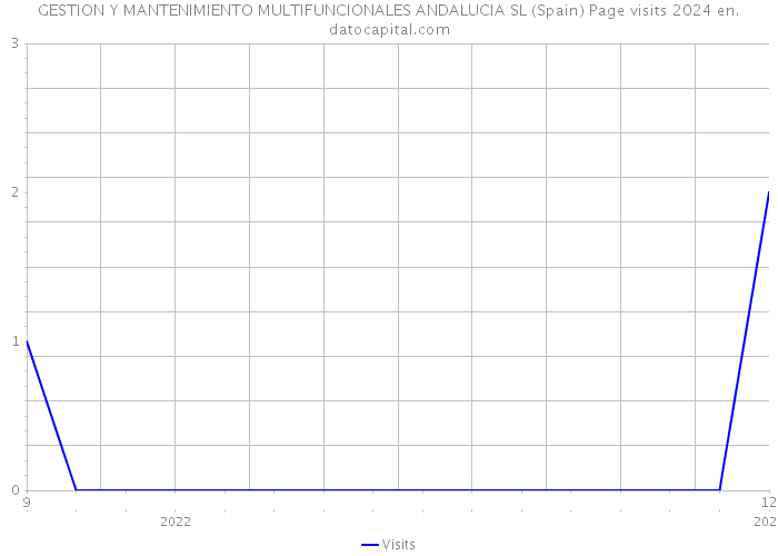 GESTION Y MANTENIMIENTO MULTIFUNCIONALES ANDALUCIA SL (Spain) Page visits 2024 