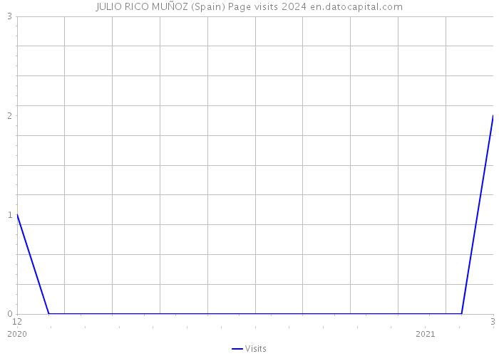 JULIO RICO MUÑOZ (Spain) Page visits 2024 