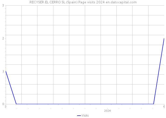 RECYSER EL CERRO SL (Spain) Page visits 2024 