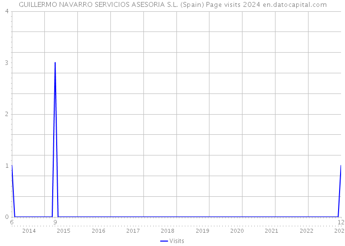 GUILLERMO NAVARRO SERVICIOS ASESORIA S.L. (Spain) Page visits 2024 