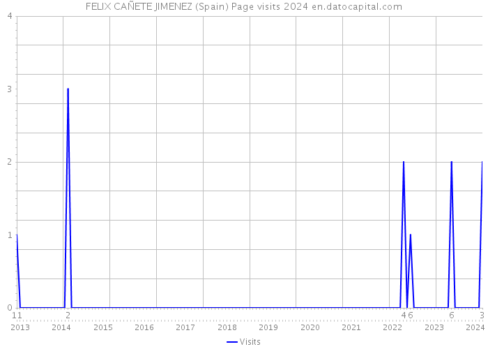 FELIX CAÑETE JIMENEZ (Spain) Page visits 2024 