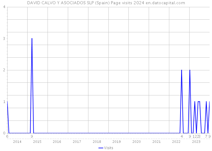 DAVID CALVO Y ASOCIADOS SLP (Spain) Page visits 2024 