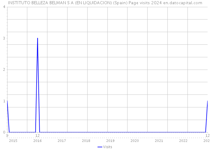 INSTITUTO BELLEZA BELMAN S A (EN LIQUIDACION) (Spain) Page visits 2024 