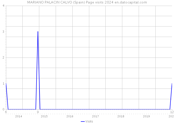 MARIANO PALACIN CALVO (Spain) Page visits 2024 