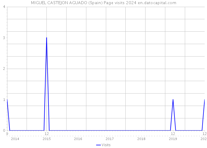 MIGUEL CASTEJON AGUADO (Spain) Page visits 2024 