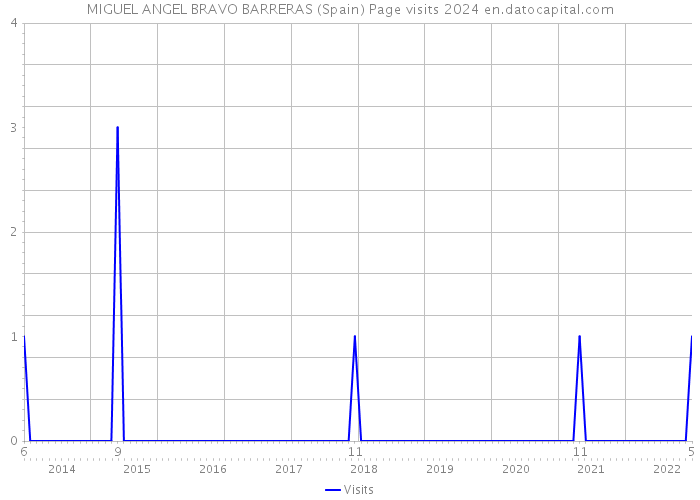 MIGUEL ANGEL BRAVO BARRERAS (Spain) Page visits 2024 