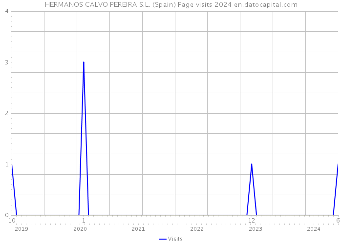 HERMANOS CALVO PEREIRA S.L. (Spain) Page visits 2024 