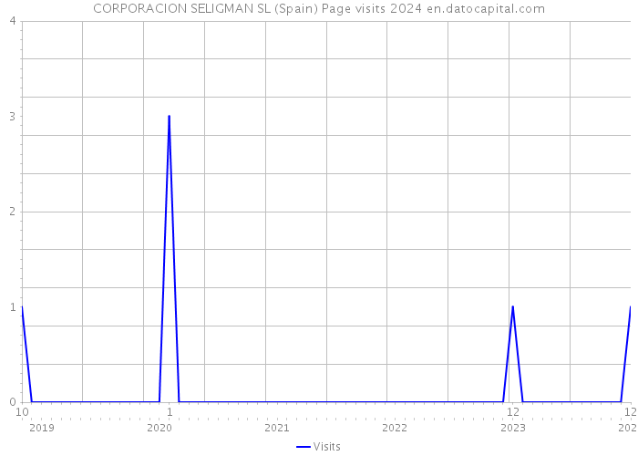 CORPORACION SELIGMAN SL (Spain) Page visits 2024 