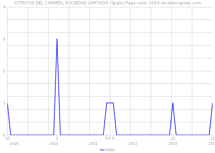 CITRICOS DEL CARMEN, SOCIEDAD LIMITADA (Spain) Page visits 2024 