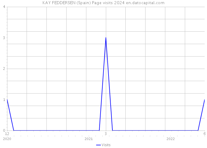 KAY FEDDERSEN (Spain) Page visits 2024 