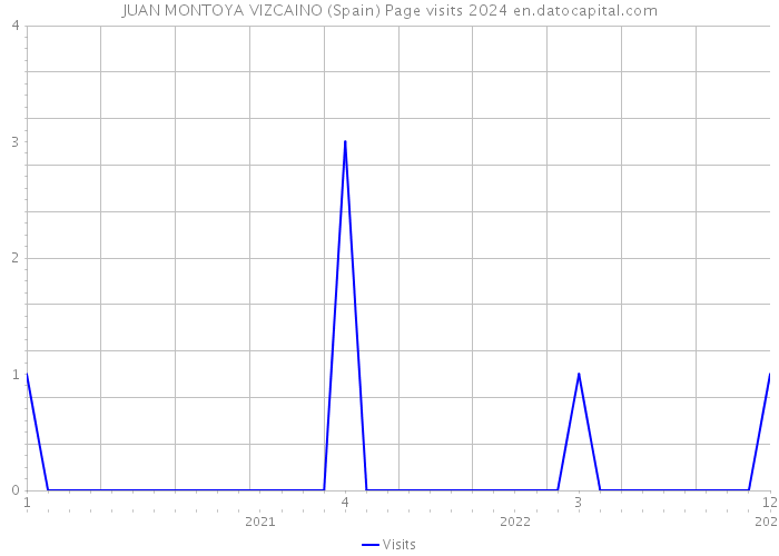 JUAN MONTOYA VIZCAINO (Spain) Page visits 2024 