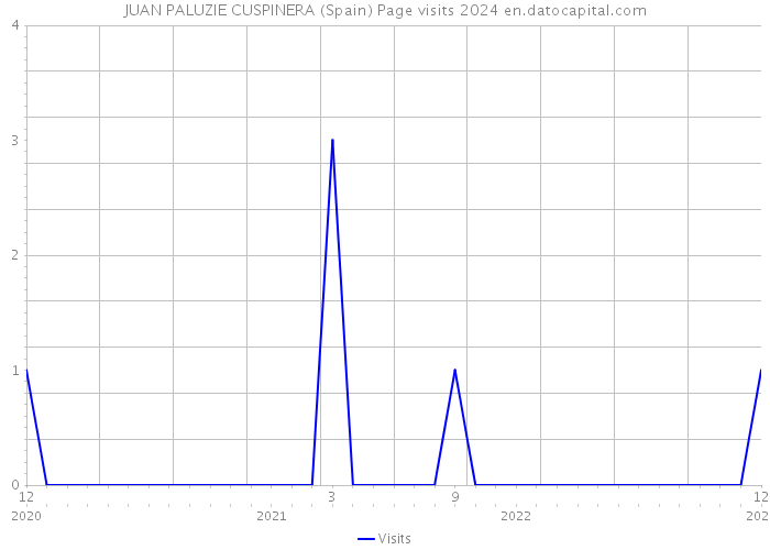 JUAN PALUZIE CUSPINERA (Spain) Page visits 2024 