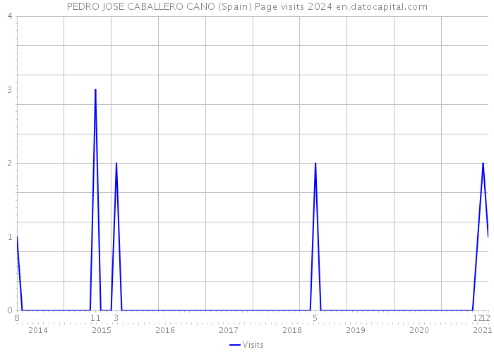 PEDRO JOSE CABALLERO CANO (Spain) Page visits 2024 