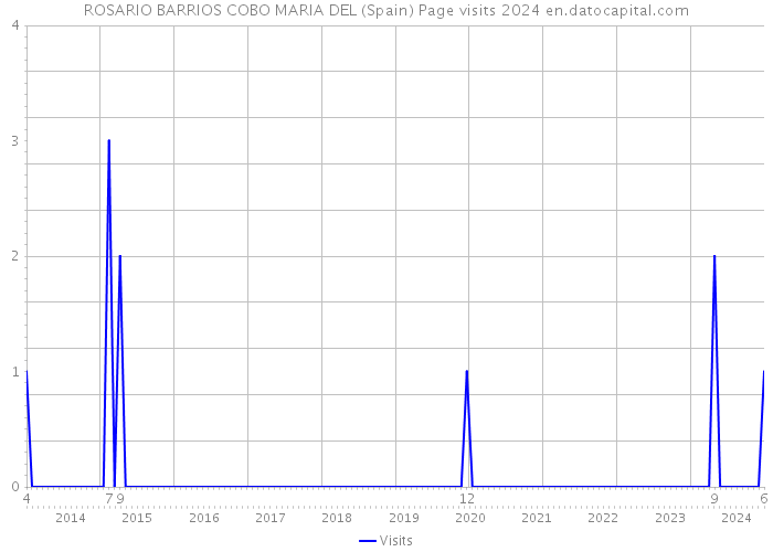 ROSARIO BARRIOS COBO MARIA DEL (Spain) Page visits 2024 